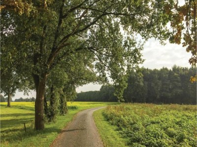 Farmhouse Bauernhaus in Geesteren nahe Wald - Environment photo 30
