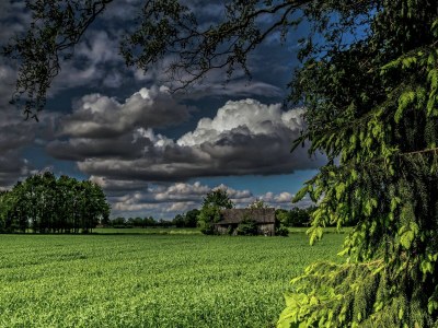 Farmhouse Romantic Farmhouse Escape - Environment photo 17