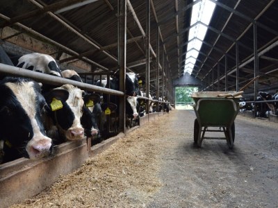 Farmhouse Romantic Farmhouse Escape - Environment photo 21