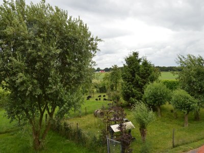 Holiday house Ferienhaus in Holten am IJssel-See - Outdoor photo 10