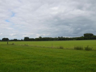 Holiday house Ferienhaus in Holten am IJssel-See - Environment photo 21