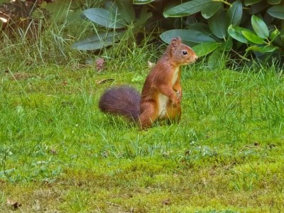 Holiday house Ferienhaus in Holten am IJssel-See - Environment photo 25