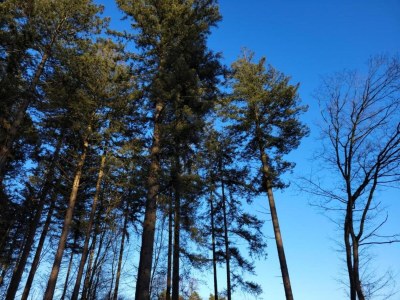 Holiday house Ferienhaus in Holten am IJssel-See - Environment photo 26