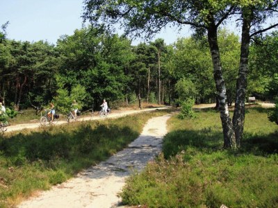 Holiday house Ferienhaus in Holten am IJssel-See - Environment photo 28