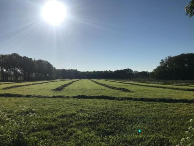 Holiday house Ferienhaus in Holten am IJssel-See - Environment photo 29