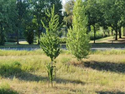 Holiday house Ferienhaus in Holten am IJssel-See - Environment photo 30