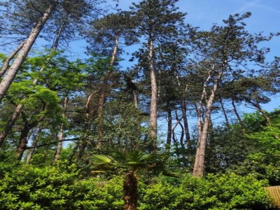 Holiday house Ferienhaus in Holten am IJssel-See - Environment photo 31