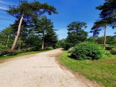 Holiday house Ferienhaus in Holten am IJssel-See - Environment photo 33