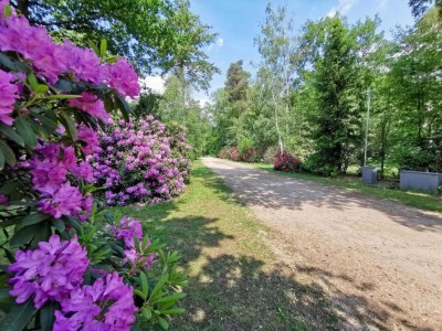 Holiday house Ferienhaus in Holten am IJssel-See - Environment photo 35
