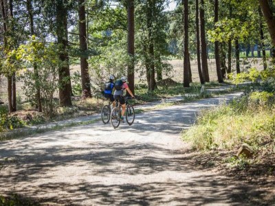 Holiday house Ferienhaus in Holten am IJssel-See - Environment photo 36
