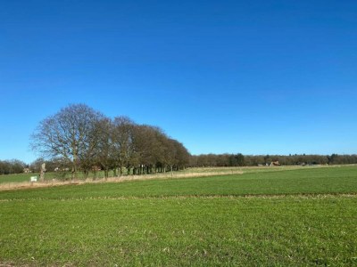 Holiday house Ferienhaus in Holten am IJssel-See - Environment photo 38