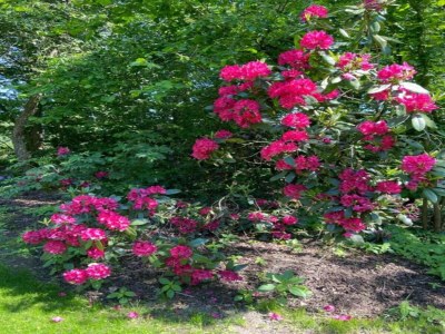 Holiday house Holiday Home in Haaksbergen by Lake - Environment photo 22