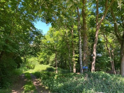 Holiday house Holiday Home in Haaksbergen by Lake - Environment photo 25