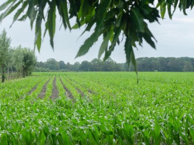 Holiday house Holiday Home in Haaksbergen by Lake - Environment photo 26
