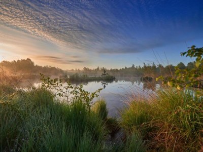 Holiday house Holiday Home in Haaksbergen by Lake - Environment photo 27