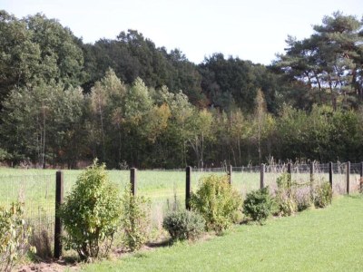 Holiday house Holiday Home in Haaksbergen by Lake - Environment photo 28