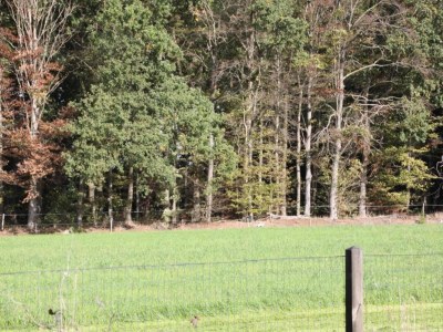 Holiday house Holiday Home in Haaksbergen by Lake - Environment photo 29