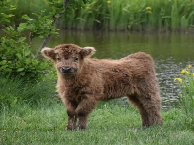 Holiday house Holiday Home in Haaksbergen by Lake - Environment photo 30