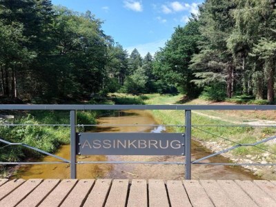 Holiday house Holiday Home in Haaksbergen by Lake - Environment photo 31