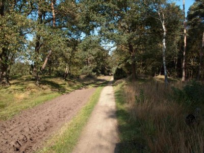Holiday house Holiday Home in Haaksbergen by Lake - Environment photo 33