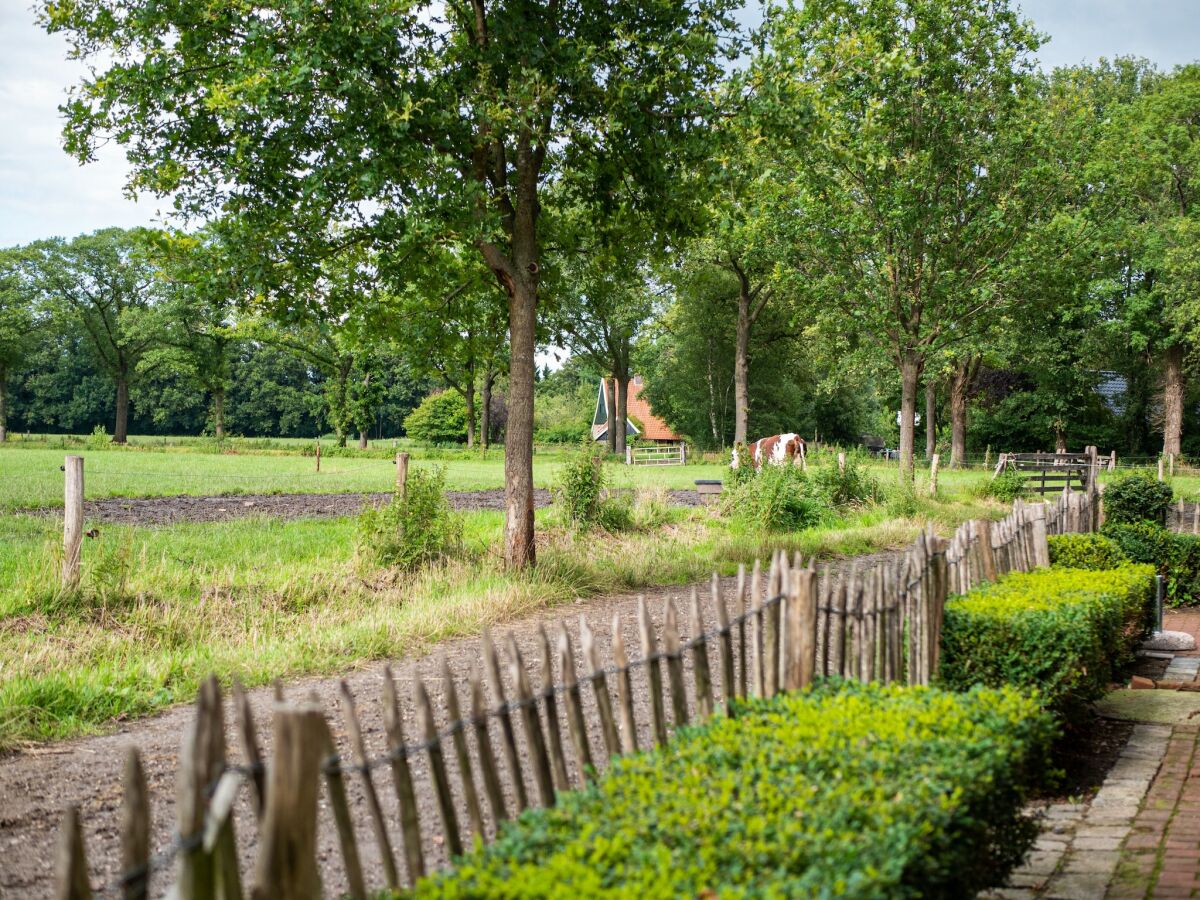 Apartment Villa in Vilamoura with Pool near Beach - Outdoor photo 3