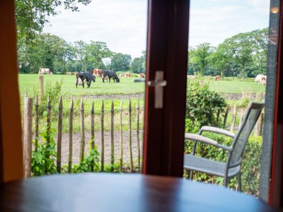 Apartment Villa in Vilamoura with Pool near Beach - Outdoor photo 5