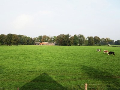 Apartment Villa in Vilamoura with Pool near Beach - Outdoor photo 8