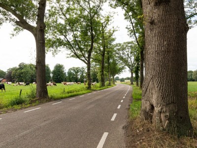 Apartment Villa in Vilamoura with Pool near Beach - Environment photo 26