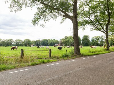 Apartment Villa in Vilamoura with Pool near Beach - Environment photo 28