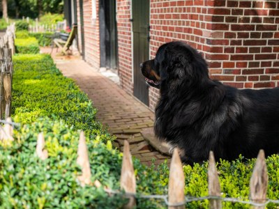 Apartment Villa in Vilamoura with Pool near Beach - Outdoor photo 29