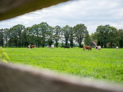 Apartment Villa in Vilamoura with Pool near Beach - Outdoor photo 32