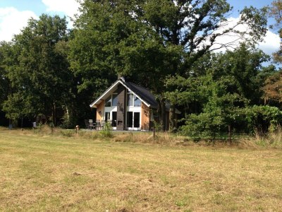 Holiday house Chalet in Reutum mit Sauna und Natur - Outdoor photo 8