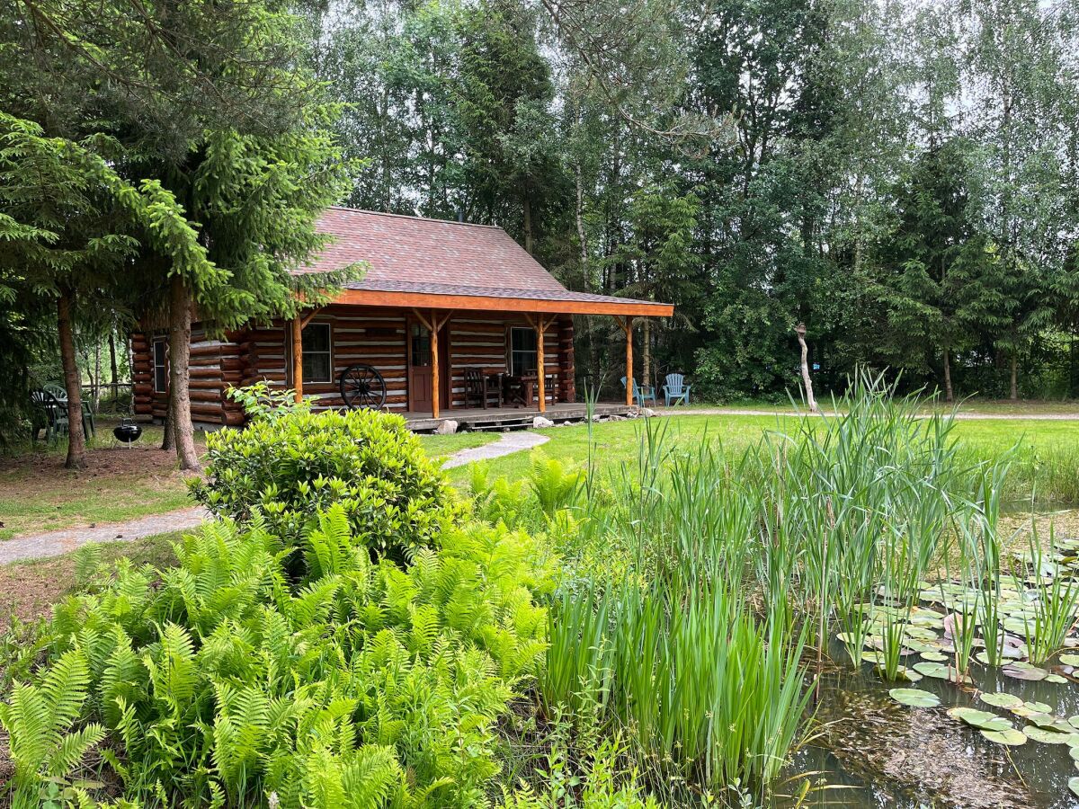 Holiday house Holiday Home with Garden in Den Ham - Outdoor photo 4