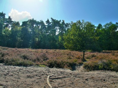 Holiday house Holiday Home with Garden in Den Ham - Environment photo 24