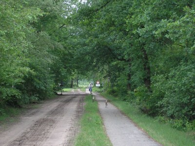 Holiday house Holiday Home with Garden in Den Ham - Environment photo 26