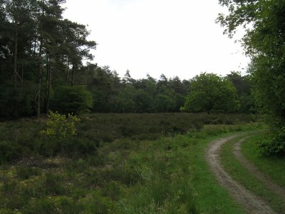 Holiday house Holiday Home with Garden in Den Ham - Environment photo 27
