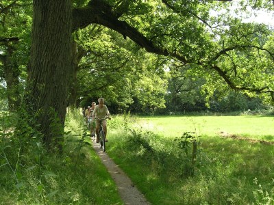Holiday house Holiday Home with Garden in Den Ham - Environment photo 28