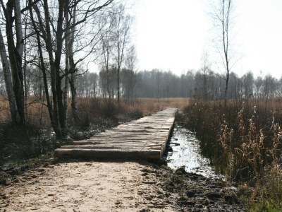 Holiday house Holiday Home with Garden in Den Ham - Environment photo 34