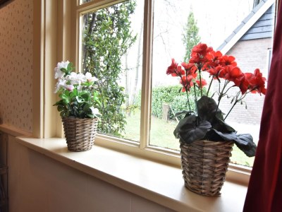 Holiday house Holiday home in with cycling area - Outdoor photo 37