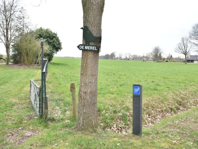 Holiday house Holiday home in with cycling area - Outdoor photo 39