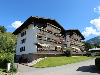 Apartment Wohnung Maria Alm bei Hochkönig Skipisten in Hochkoenig - Apartment