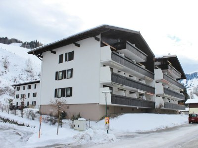 Apartment Wohnung Maria Alm bei Hochkönig Skipisten - Outdoor photo 4