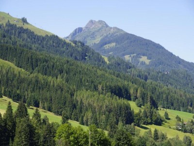 Apartment Wohnung Leogang nahe Skipisten - Environment photo 27