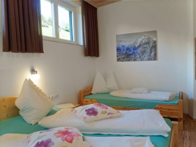 Apartment Apartment in Zillertal near Ski Slopes - Features photo 30