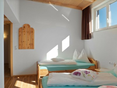 Apartment Apartment in Zillertal near Ski Slopes - Features photo 31