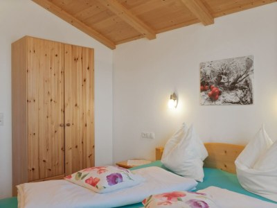 Apartment Apartment in Zillertal near Ski Slopes - Features photo 32