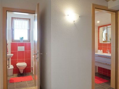 Apartment Apartment in Zillertal near Ski Slopes - Features photo 36