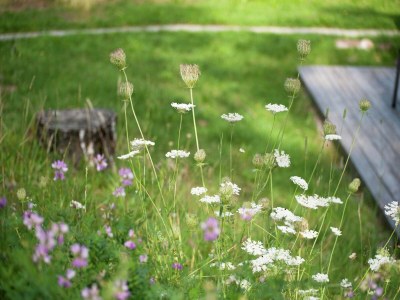 Chalet Chalet in Wörgl near SkiWelt Wilder Kaiser - Environment photo 27