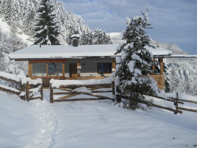 Chalet Chalet in Niederndorf near Skiwelt Ski Lift - Outdoor photo 2