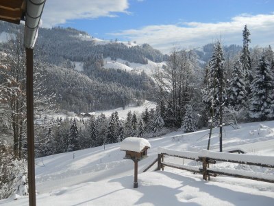 Chalet Chalet in Niederndorf near Skiwelt Ski Lift - Outdoor photo 12